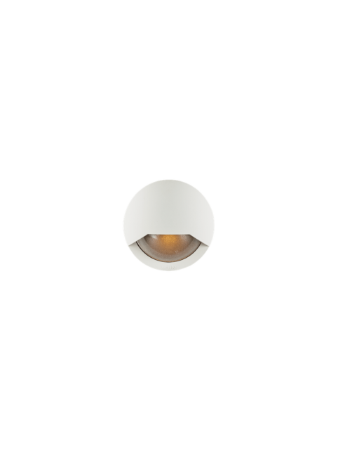10301265_blink_white.png