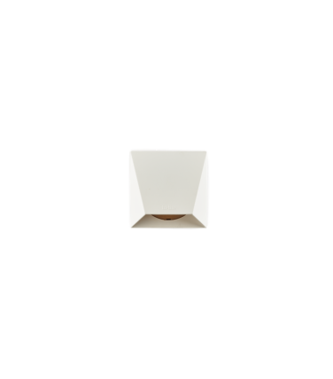 10301765_wedge_white.png