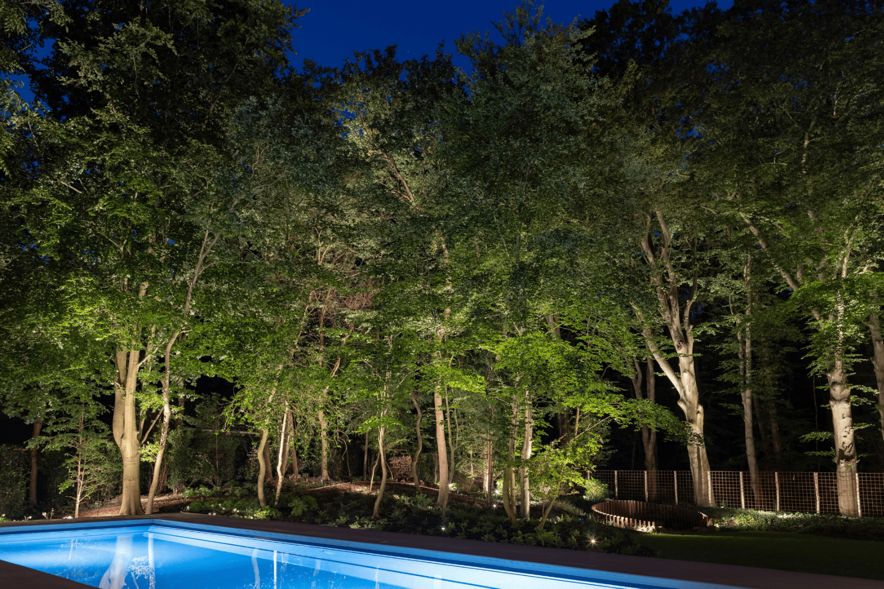 Eine Baumgruppe in einem Garten wird von Bodenleuchten dekorativ angestrahlt und in Szene gesetzt. Im Vordergrund sieht man ein erleuchtetes Schwimmbecken.