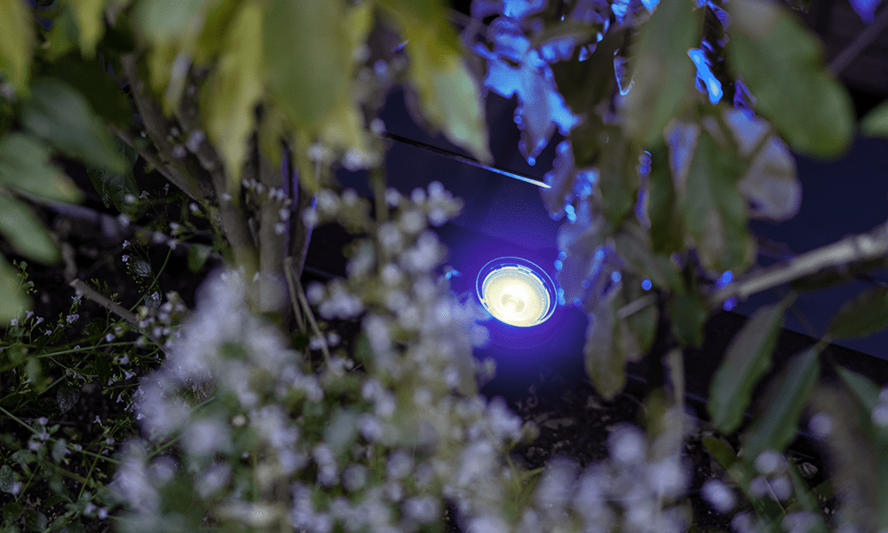 Slimme verlichting - in-lite