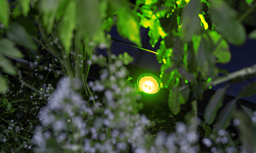 Slimme verlichting - in-lite
