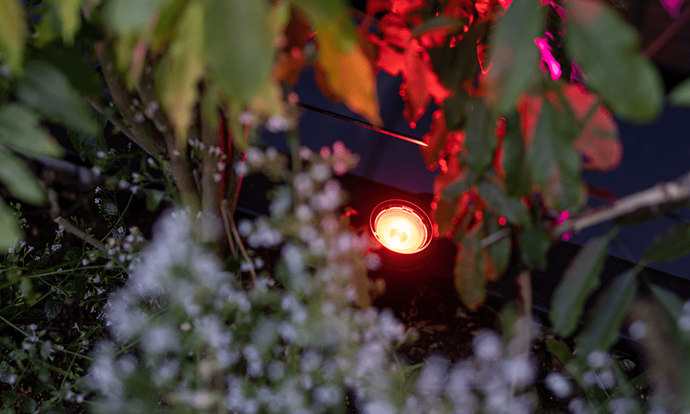 Slimme verlichting - in-lite