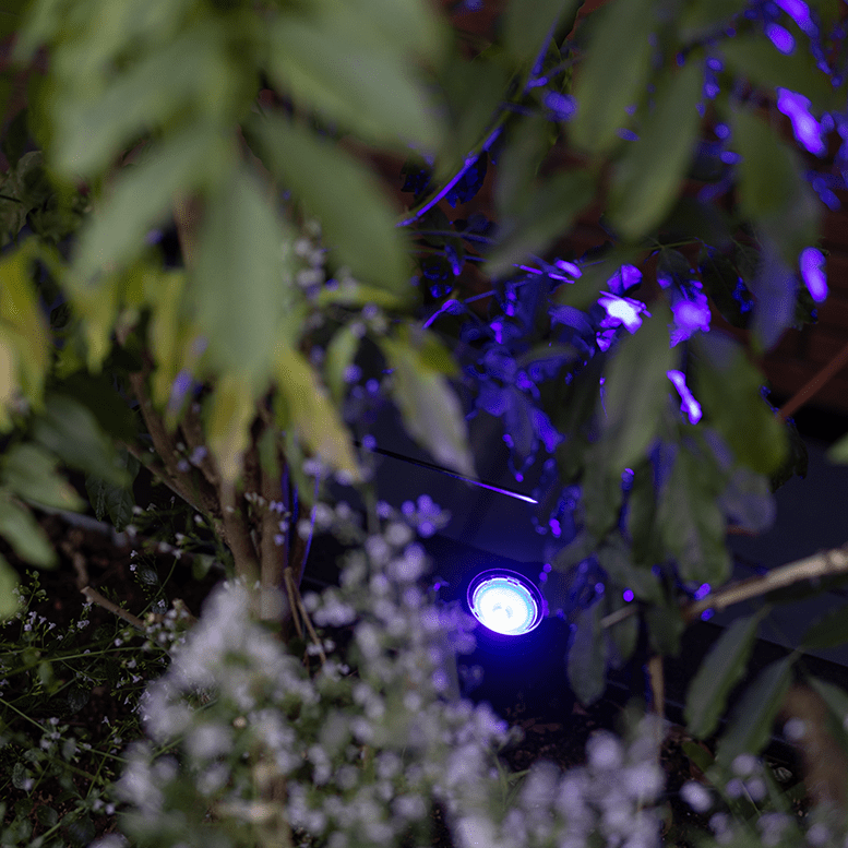 Slimme verlichting - in-lite