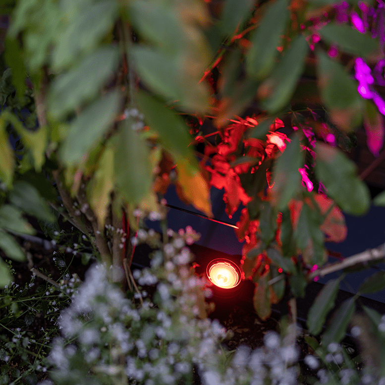 Slimme verlichting - in-lite