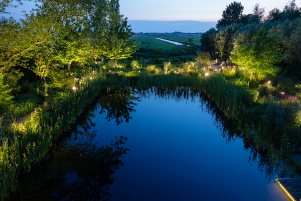 Ein großer Gartenteich wird abends von stimmungsvoller Teichbeleuchtung erleuchtet. Um den Teich sind Bäume zu sehen, die vom Boden aus angestrahlt werden.