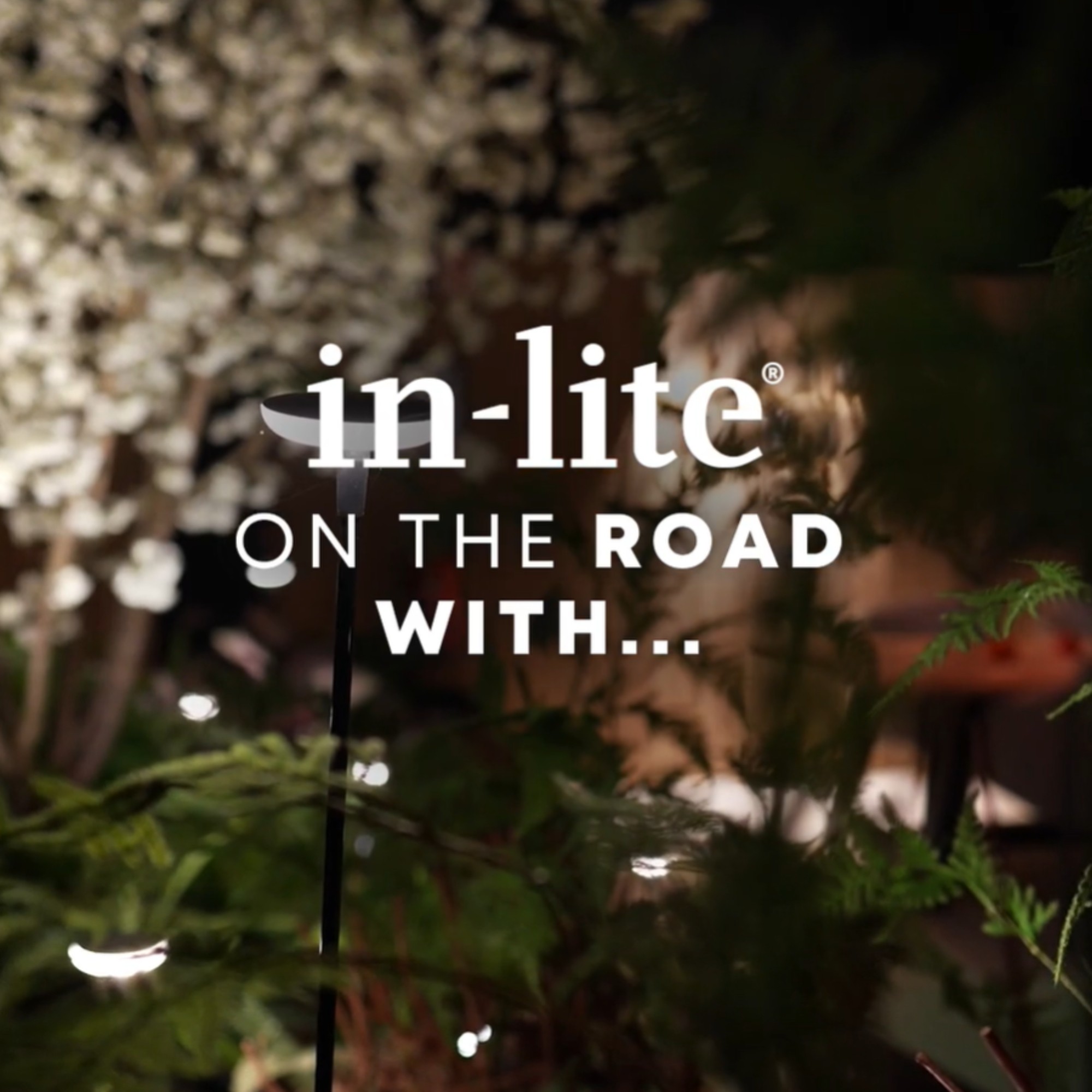 On the road with... Van den Bosch Tuin & Terras - in-lite