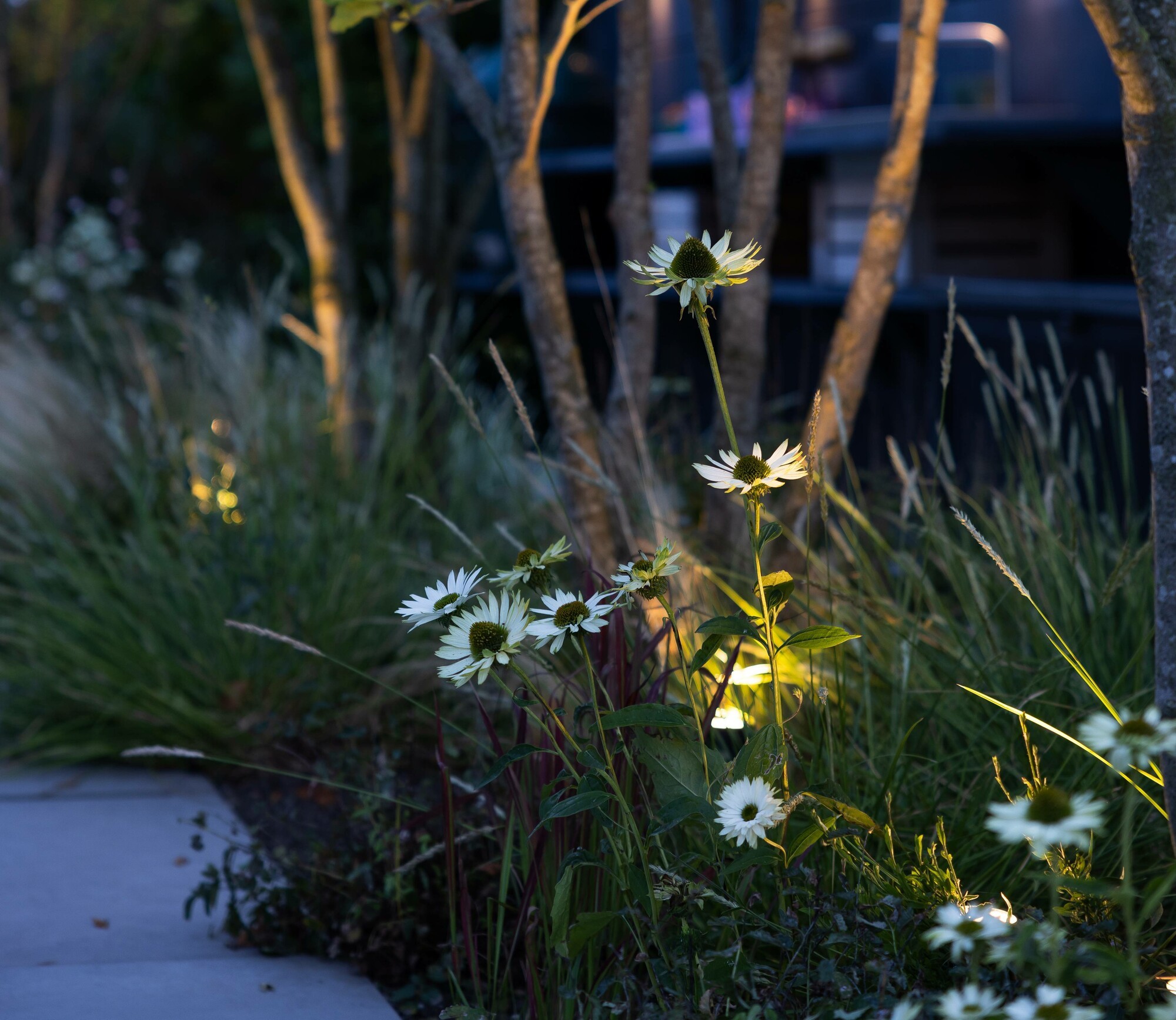 Buitenspots - tuinverlichting border - buitenverlichting - in-lite