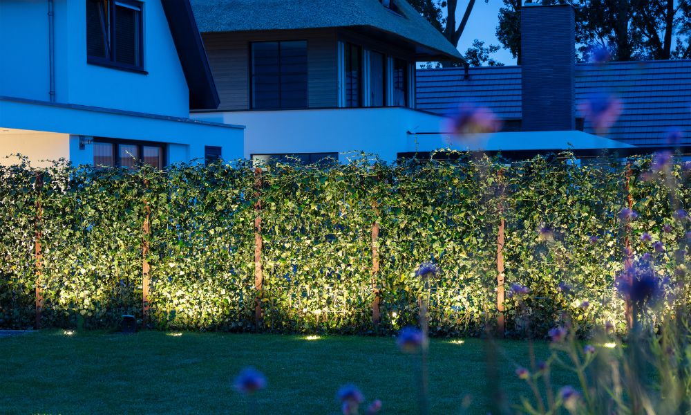 Eine stimmungsvolle Heckenbeleuchtung mit mehreren, gleichmäßig platzierten Spots erhellt einen Garten in der Abenddämmerung. Im Hintergrund sind mehrere Wohnhäuser zu sehen.